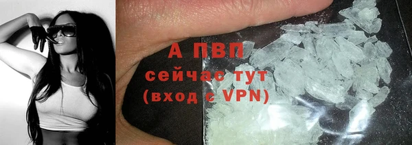 стафф Абинск