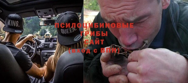 стафф Абинск