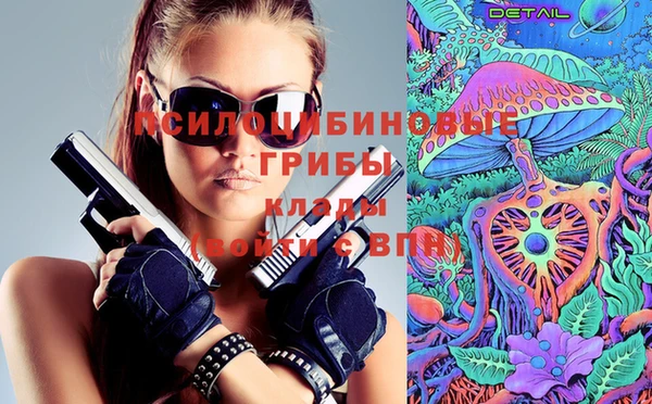 Альфа ПВП Абаза