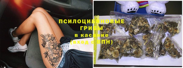 винт Нягань