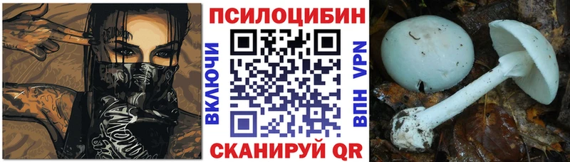 Псилоцибиновые грибы Psilocybine cubensis  Мантурово 